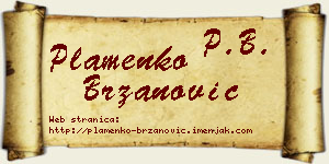 Plamenko Brzanović vizit kartica